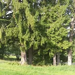 Miniferienwohnung Fuer Unkompliziertes Naturliebhaberpaerchen Apartamento *