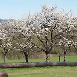 Miniferienwohnung Für Unkompliziertes Naturliebhaberpärchen