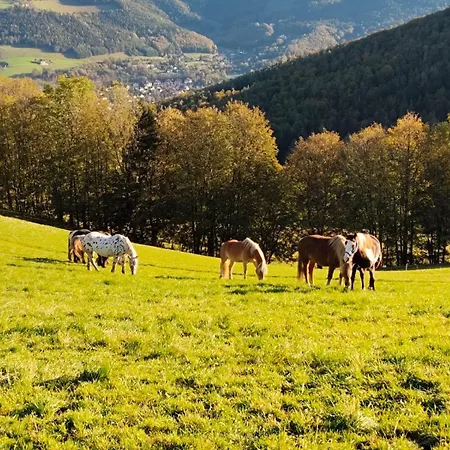 Miniferienwohnung Für Unkompliziertes Naturliebhaberpärchen Payerbach