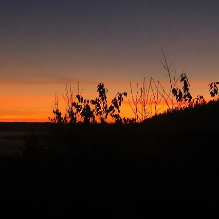 Miniferienwohnung Für Unkompliziertes Naturliebhaberpärchen Payerbach