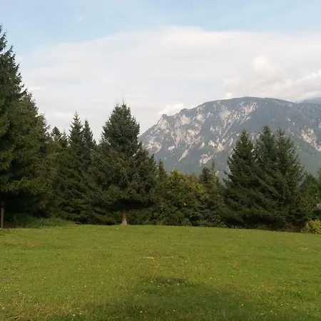 Apartamento Miniferienwohnung Fuer Unkompliziertes Naturliebhaberpaerchen Payerbach