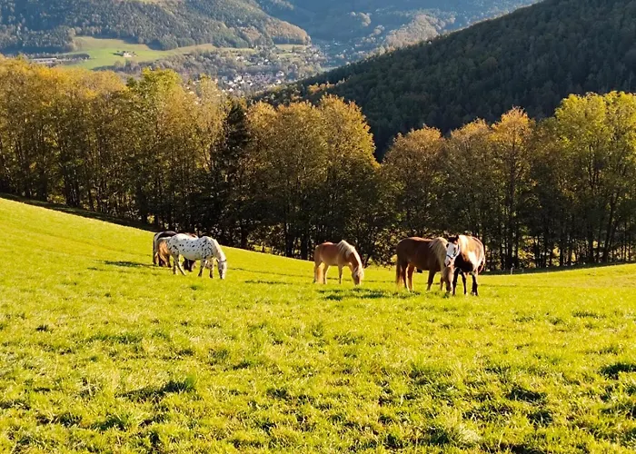 Miniferienwohnung Fuer Unkompliziertes Naturliebhaberpaerchen Payerbach
