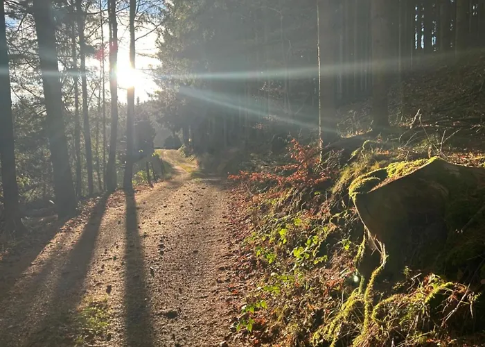 Miniferienwohnung Fuer Unkompliziertes Naturliebhaberpaerchen * Payerbach