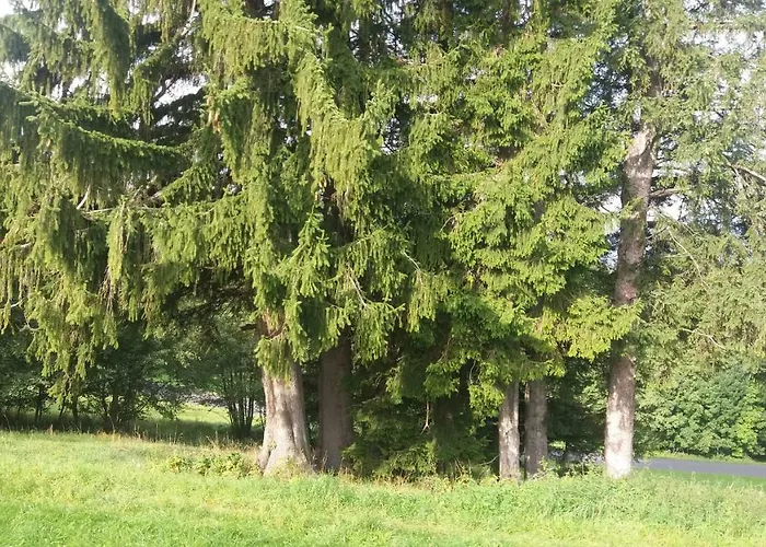 Miniferienwohnung Fuer Unkompliziertes Naturliebhaberpaerchen Apartman *