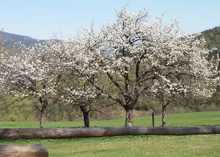 Miniferienwohnung Fuer Unkompliziertes Naturliebhaberpaerchen